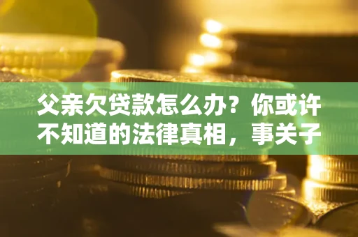 武汉父亲欠贷款怎么办？你或许不知道的法律真相，事关子女未来