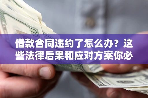武汉借款合同违约了怎么办？这些法律后果和应对方案你必须知道