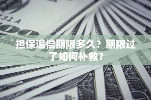 武汉担保追偿期限多久？期限过了如何补救？