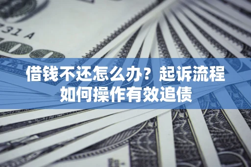 武汉借钱不还怎么办？起诉流程如何操作有效追债