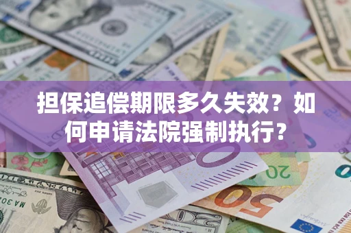 武汉担保追偿期限多久失效？如何申请法院强制执行？