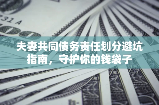武汉夫妻共同债务责任划分避坑指南，守护你的钱袋子