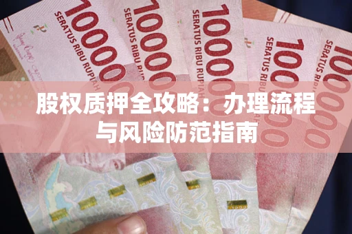 武汉股权质押全攻略：办理流程与风险防范指南