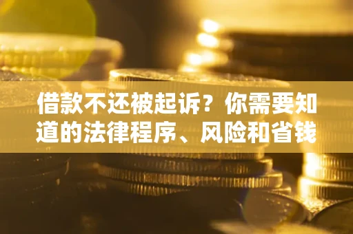 武汉借款不还被起诉？你需要知道的法律程序、风险和省钱技巧