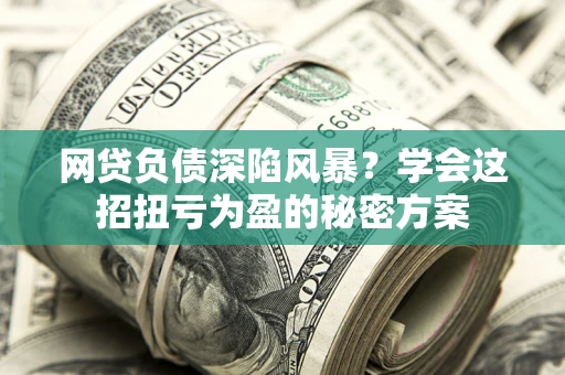 武汉网贷负债深陷风暴？学会这招扭亏为盈的秘密方案